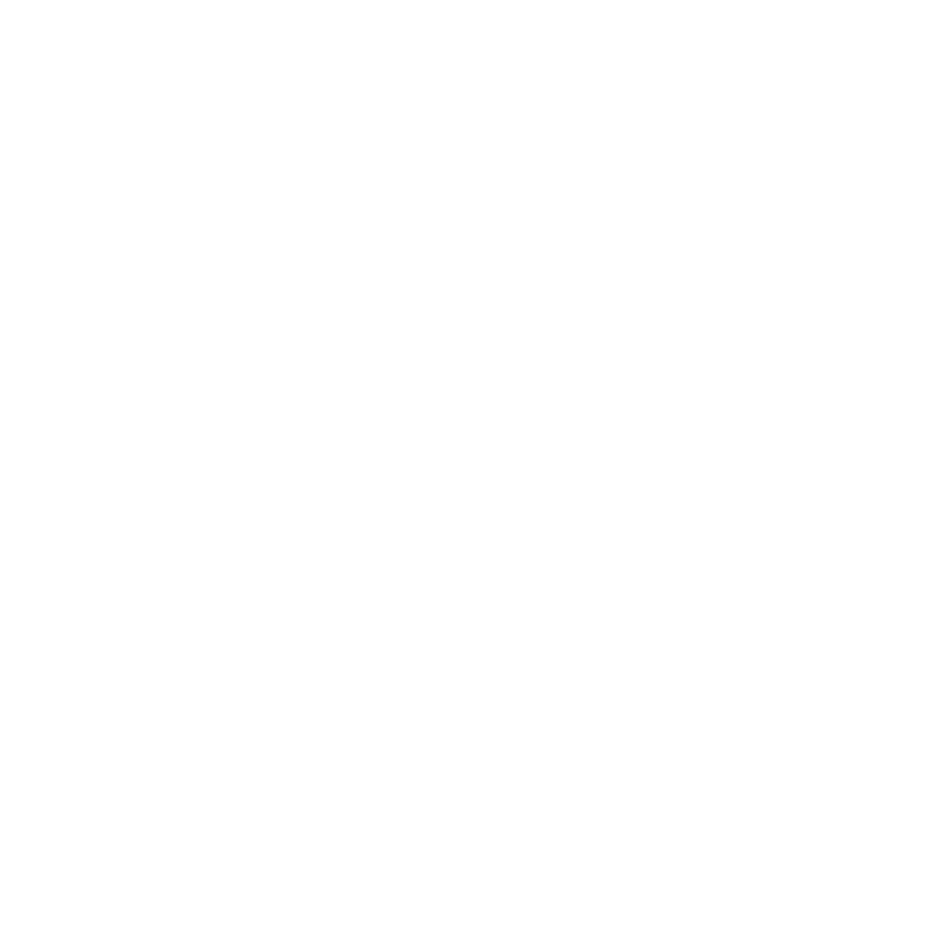 C-NETWORK